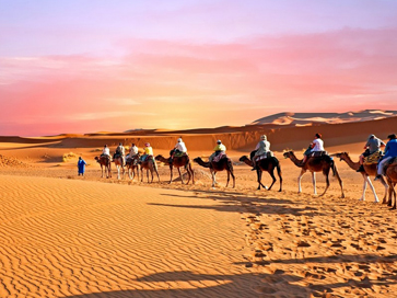 Web-Camel Trekking.jpg