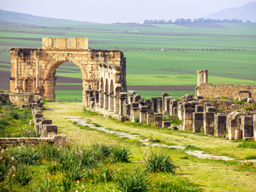 Web-Roman Ruins of Volubilis-1.jpg