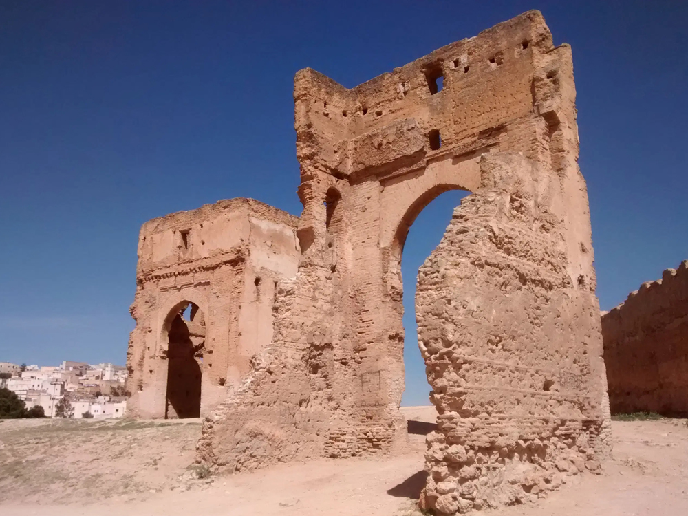 Web-Fes Marinid Tombs.jpg