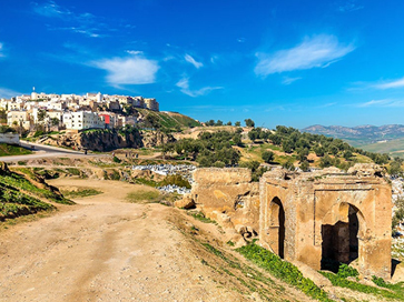 Web-Fes Marinid Tombs-2.jpg